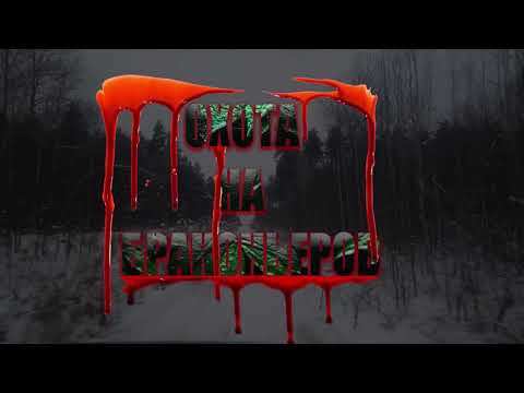 Видео: ОХОТА НА БРАКОНЬЕРА 1