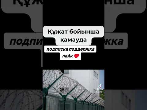 Видео: #тараз #алматы #кыргыз #ташкент #баку #москва #бишкек