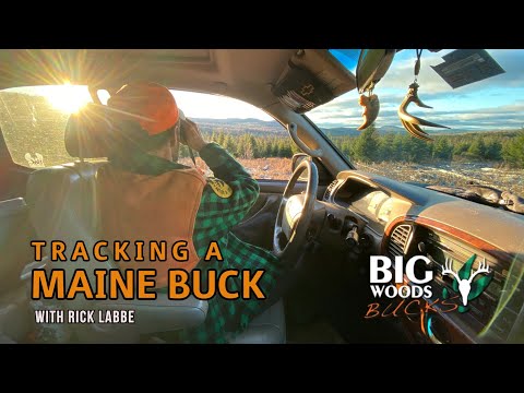 Видео: Выслеживание оленя из штата Мэн с Риком Лаббе | Big Woods Bucks