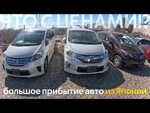 Видео: БОЛЬШОЕ ПРИБЫТИЕ АВТО ИЗ ЯПОНИИ🔥СТОЯНКИ БИТКОМ😱ЦЕНА ОТ 800 ТЫСЯЧ РУБЛЕЙ⁉️FREED STEPWGN FORD MAZDA