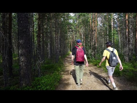 Видео: Гряда Вярямянселькя. Экотропа. Хайк вдвоем