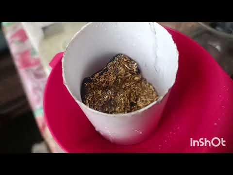 Видео: Пины - хороший материал 