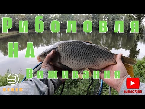 Видео: 🎣 Злива на риболовлі – випробування для справжнього рибалки 🌧️