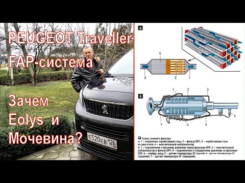 Видео: PEUGEOT Traveller. Присадки Eolys и мочевина. FAP система.