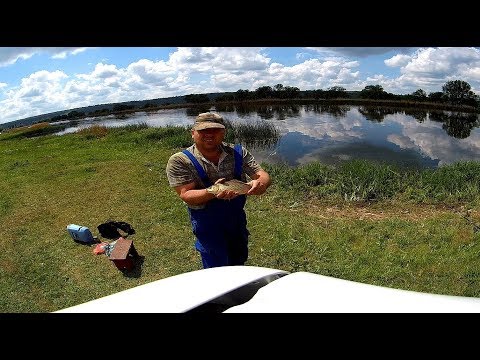 Видео: Ловля карася на донку в речке Южный буг! Выходной удался!