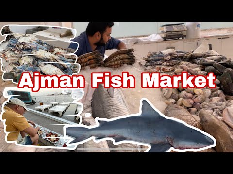 Видео: Рыбныи рынок в Аджмане.  Ajman Fish Market