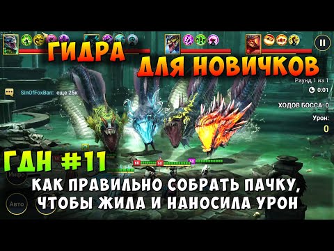 Видео: RAID SHADOW LEGENDS, ГИДРА ДЛЯ НОВИЧКОВ, КАК СОБРАТЬ ПАЧКУ, ЧТОБЫ ЖИТЬ И НАБИВАТЬ, ГДН #11