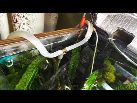 Видео: Капельная протока (доработана).