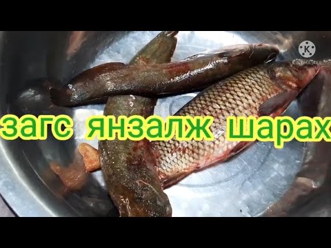 Видео: 2022 оны 3-р сарын 18