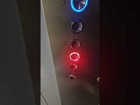 Видео: 12 ноября 2025 г.