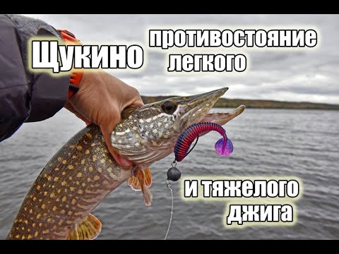 Видео: Борьба с непогодой в Щукино