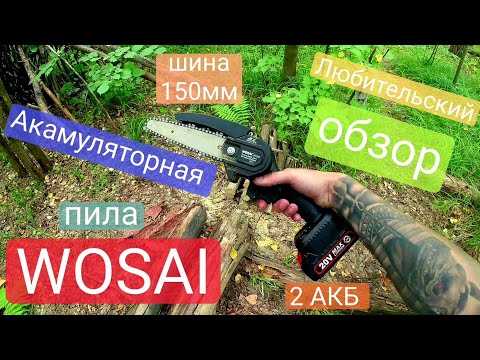 Видео: Обзор акамуляторной пилы Wosai