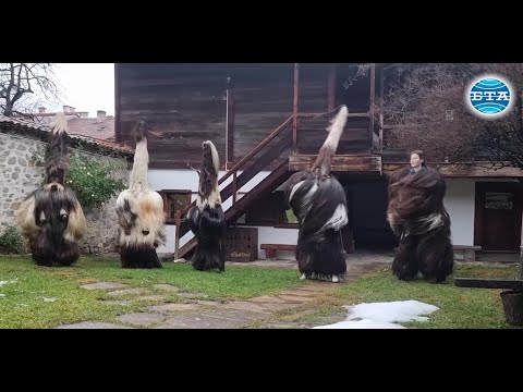 Видео: BTA: В Разлог усилено се подготвят за "Старчевата"