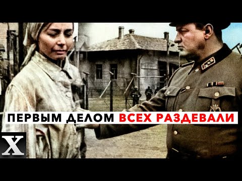 Видео: Адские эксперименты над женщинами в лагере РАВЕНСБРЮК