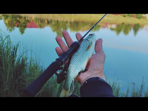 Видео: Целевая рыба - БЕЛАЯ. Мормышинг без мормышек