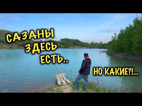 Видео: Наловили много сазанов, но есть нюанс! Рыбалка на заброшенном карьере.
