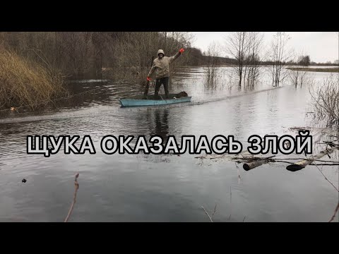 Видео: ЛОДКА НА ДНО! ЩУКА ОТКУСИЛА ПАЛЕЦ!?