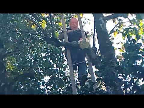 Видео: Я в ШОКЕ от этого грузина Романа и от того, что он делает!