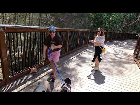 Видео: КОМУ ПЕНСИЯ НЕ ПОЛОЖЕНА. ДЕШЕВОЕ ПЕНСИОННОЕ ЖИЛЬЕ, ЖИЗНЬ ОЗЗИ. REDLAND BAY. AUSTRALIA