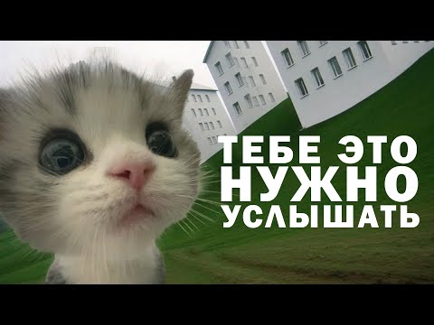 Видео: Почему ты не можешь отпустить? Говорим о любви и пытаемся выбраться из бэкрумса почти час