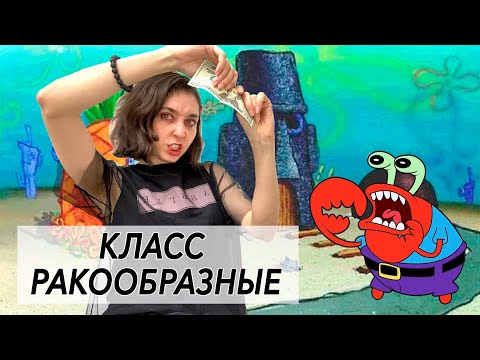 Видео: Урок "Класс Ракообразные" - ЦТ, ЕГЭ, ЗНО