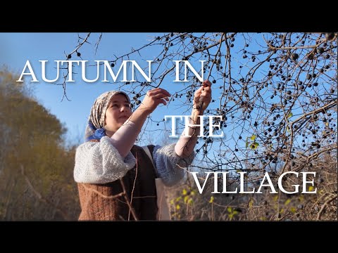 Видео: Собираем Тёрен с детьми в деревне | Collecting Blackthorn with Kids in the Village