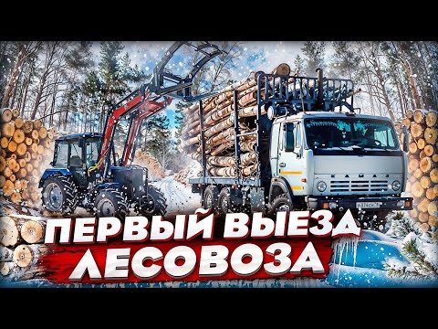 Видео: Возим лес на КАМАЗЕ! Грузим БЕЛАРУСОМ!