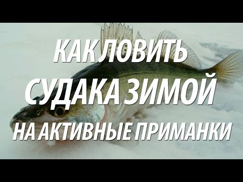 Видео: ЗИМНЯЯ ЛОВЛЯ СУДАКА НА БАЛАНСИРЫ БЛЕСНЫ РАТТЛИНЫ БОКОПЛАВЫ