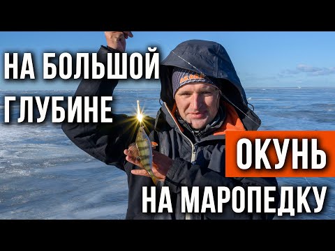 Видео: Ловля окуня на "маропедку" на большой глубине