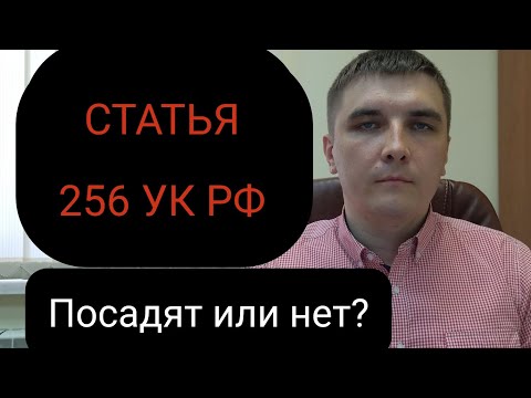 Видео: Ст. 256 УК РФ "Незаконная добыча (вылов) водных биологических ресурсов" или "Статья о трёх карасях".