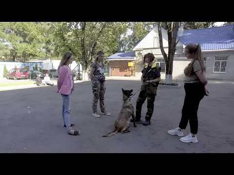 Видео: Практическое занятие для волонтеров - Практика с кинологом