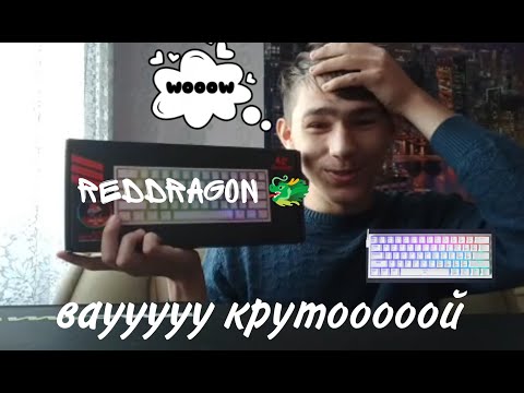 Видео: Я купил клавиатуру Redragon RGB 2023 я глухой | Vlad Gefner
