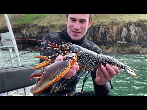 Видео: Ловля ГИГАНТСКОГО дикого лобстера для роллов с лобстером! (в стиле штата Мэн)