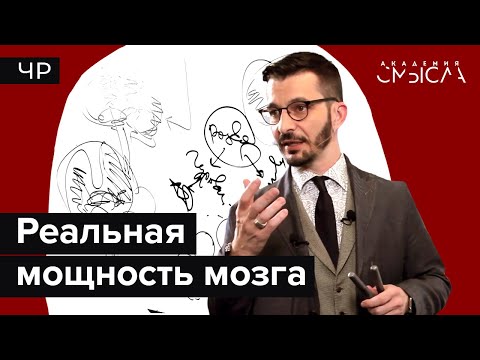Видео: Память и мозг: воспоминаний не существует