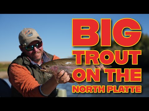 Видео: Норт-Платт Совершенство