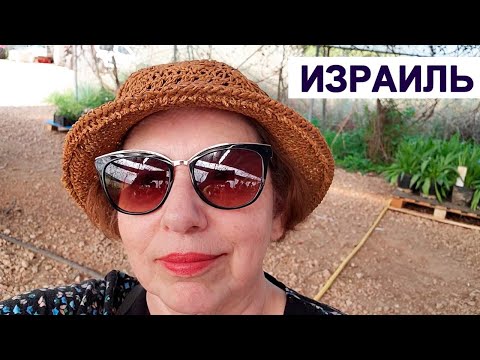 Видео: На ферме специй "ДОРОГА ПРЯНОСТЕЙ".Израиль