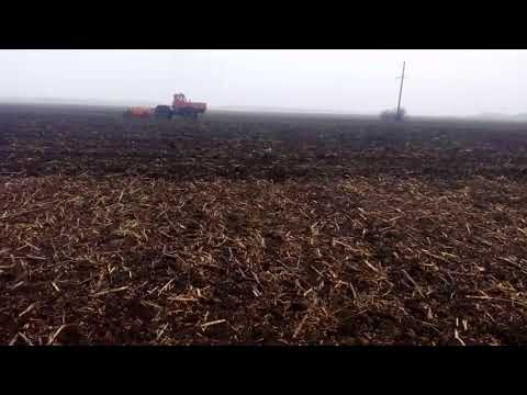 Видео: Що сталось з полем на якому No Till 5 років?