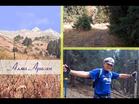 Видео: Ущелье Проходное (Алма-Арасан). Случайно встретил Степаныча. 06092025 #алматы #горы #алма-арасан