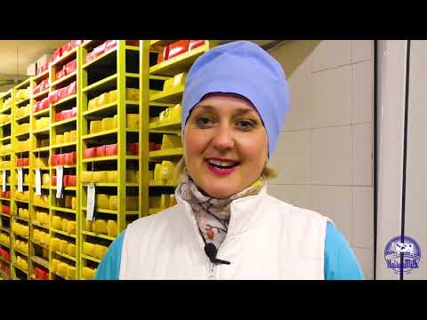 Видео: ГАЙСИН