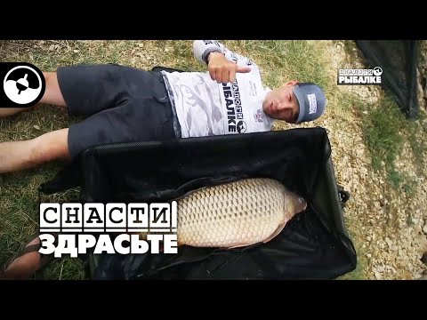 Видео: Ловим огромных карпов с Петром Миненко | Снасти, здрасьте!