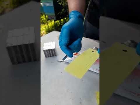 Видео: Боротьба з кліщем 2025