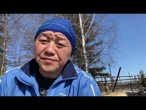 Видео: Бэйэҕэ сыанабыл (самооценка)
