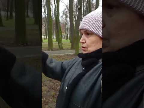 Видео: 13 ноября 2025 г.