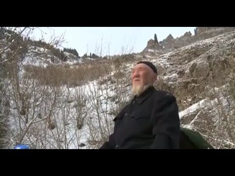 Видео: Қытайдағы қандастарымыз