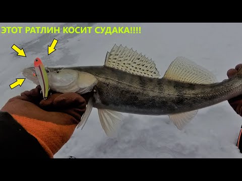 Видео: Раттлин на судака с AliExpress | Косит судака не хуже оригинала!!!