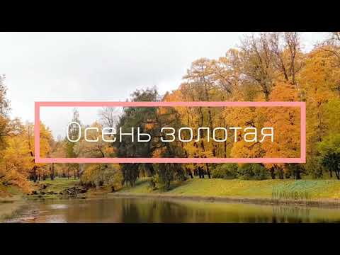 Видео: Осень золотая. Город на Неве.