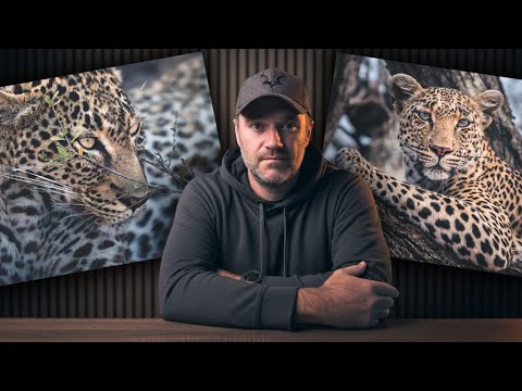 Видео: Как я на самом деле создаю фотографии дикой природы