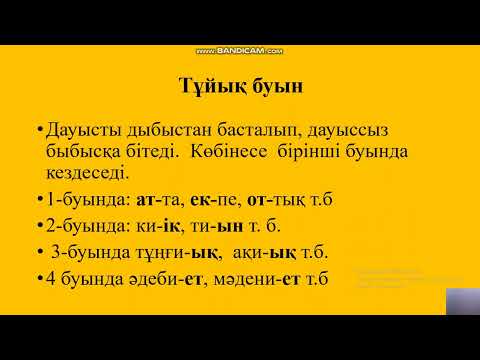 Видео: Буын және оның түрлері