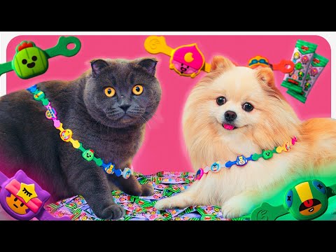 Видео: КИСА БАТТЕРС ОТКРЫВАЕТ СКРЕПЫШИ БРАВЛЫ из ПЯТЕРОЧКИ | Попался Редкий БРАВЛ СТАРС | Собрала Коллекцию