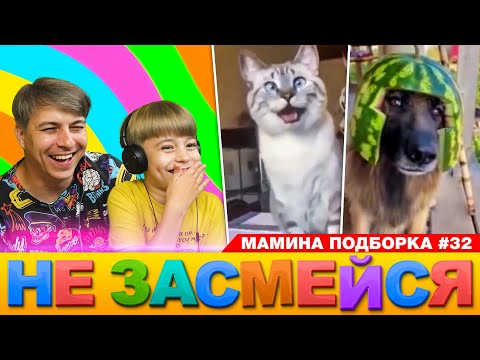 Видео: 2 КОТЭ И ПЁСИК! НЕ ЗАСМЕЙСЯ ЧЕЛЛЕНДЖ // Смотрим смешные видео или МАМИНА  ПОДБОРКА #32